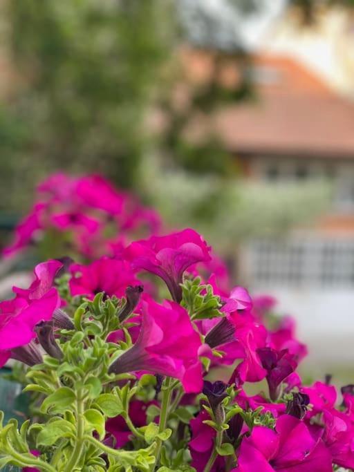 Grazioso Monolocale Apartment มิลาน ภายนอก รูปภาพ